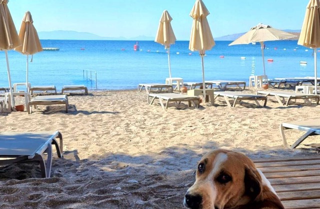 Kefi Beach and Suites