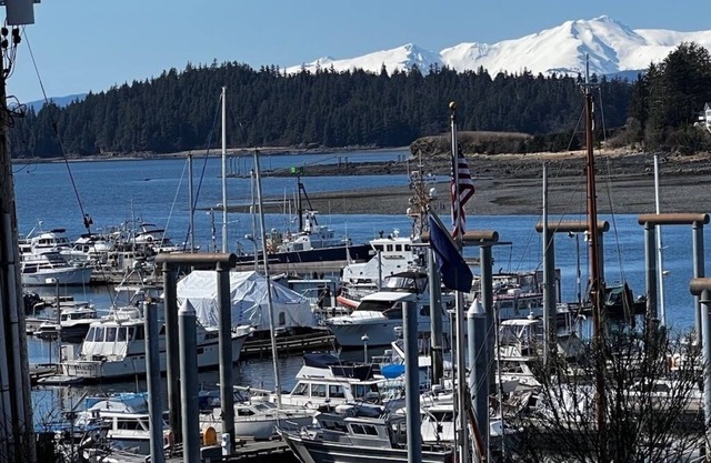 Kelli's Harbor Suites - In Auke Bay Walking Community - DISCOUNT ON TOURS