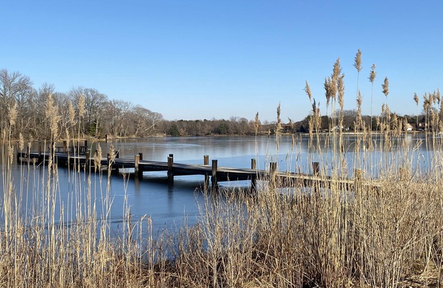 Kent Island - Gorgeous Waterfront Home