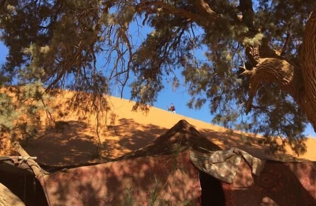 Khamlia Desert Bed & Breakfast
