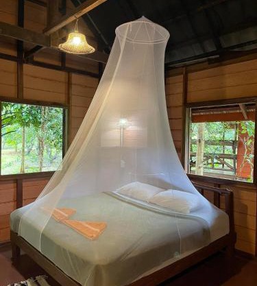 Khao Sok Green Mountain View
