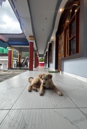 Khushi homestay