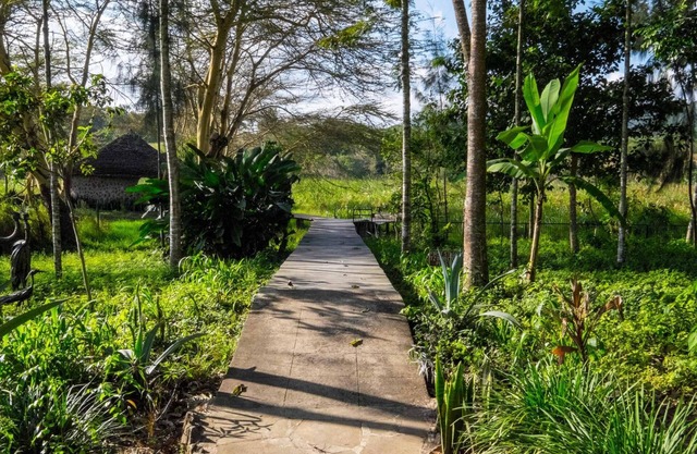 Kiboko Lodge