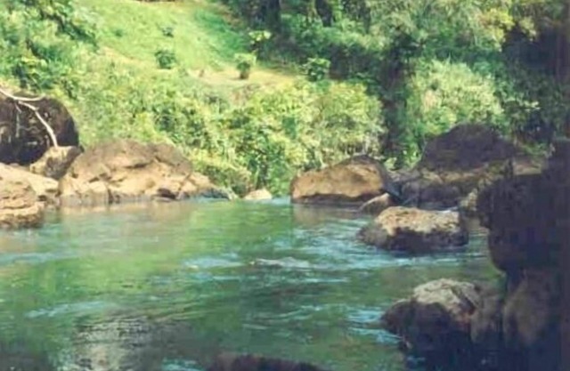Kilauea Kauai cascada Retiro con B & B / Casa de familia Permiso #Z IV-2015-24