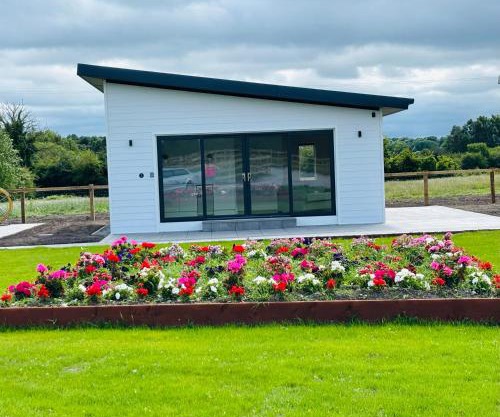 Kildare Holiday Apartments No 3