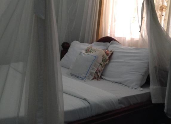 Meru Eco Lodge