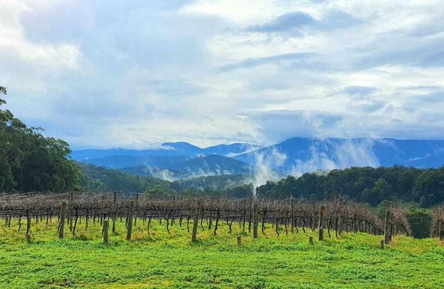 "KiNam Vinea" - A Farm Stay in the Yarra Valley