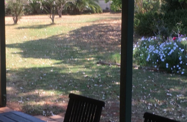"Alquileres a Corto Plazo Kingaroy" -El Rancho