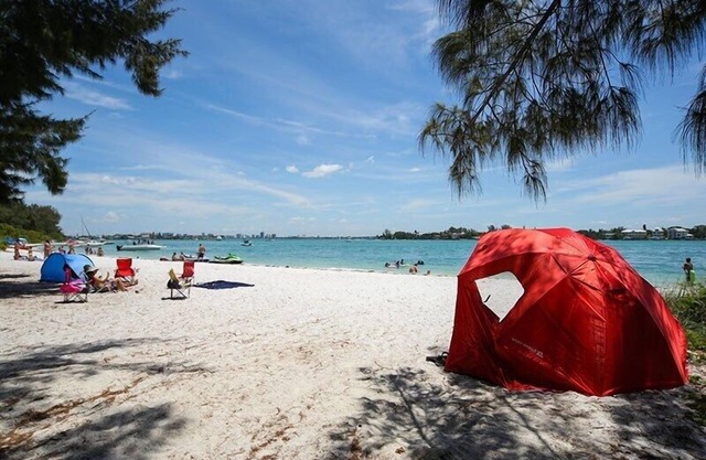 Kingston Arms - Sarasota