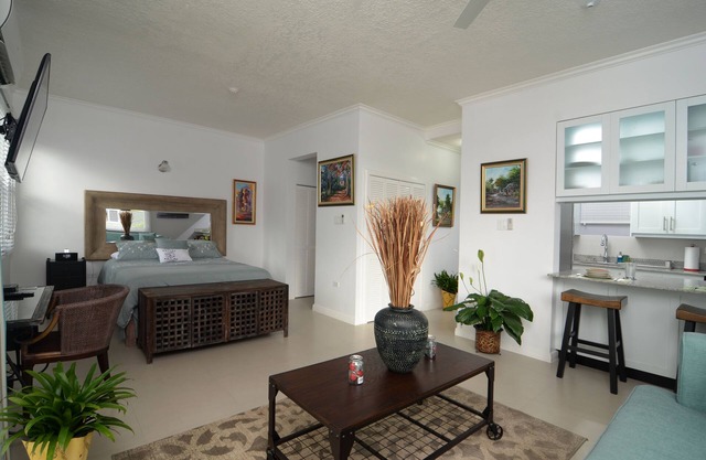 Kingsway New Kingston Guest Apartment II