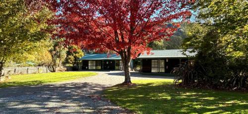 Kiwi Park Motels