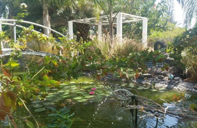 Kmo Yam In The Love Garden
