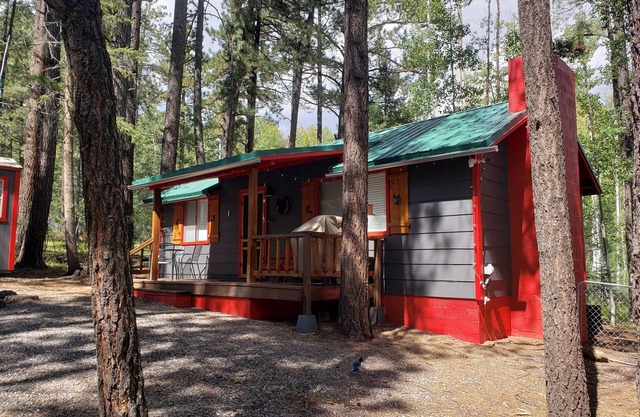 Knotty Bear Cabin in Greer