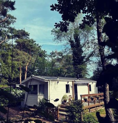 Knus chalet midden in de bossen