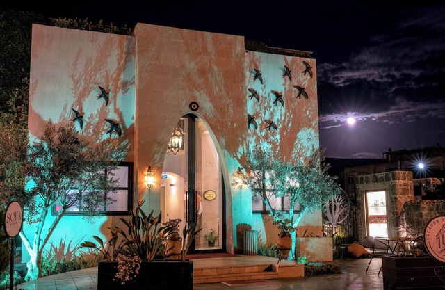 Kocadon Museum Hotel