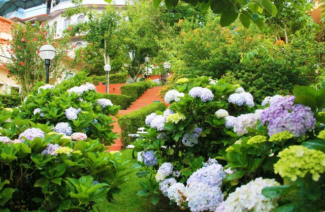 Kodai Resort Hotel