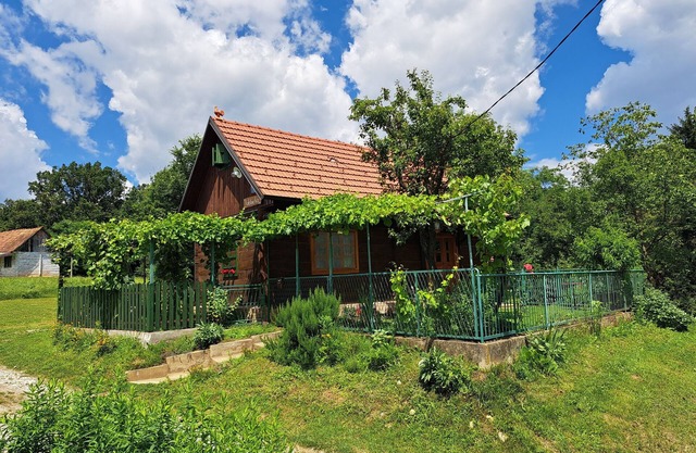 Kokotova Hiža - One Bedroom Holiday Home with Terrace
