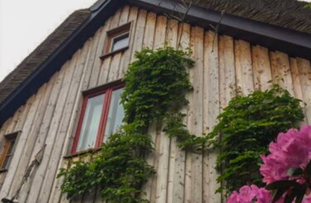 Koras Dachkammer - Künstlerhaus:korasdachkammer+villailsebill+carlotteslandlust