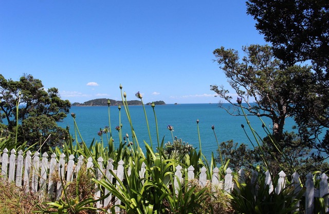 Kotare Coastal Cottage ~ Papa Aroha