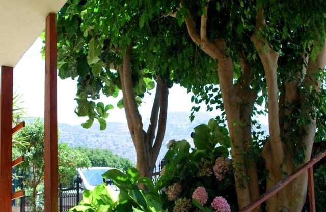 Koula Apartments