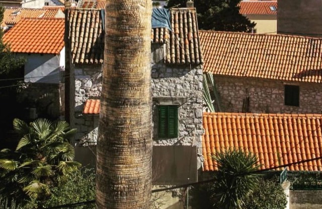 Kovacic Apartmants