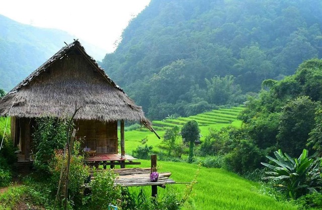 KowitFarmstay