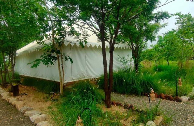 Kross Adventure Campsite