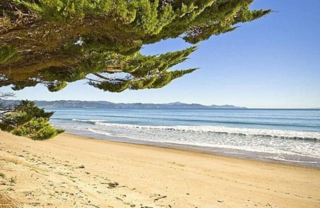 Kuaotunu Beachfront - the beach at your door
