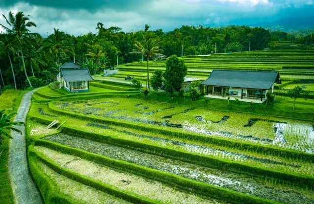 KUBU D'UME HOMESTAY