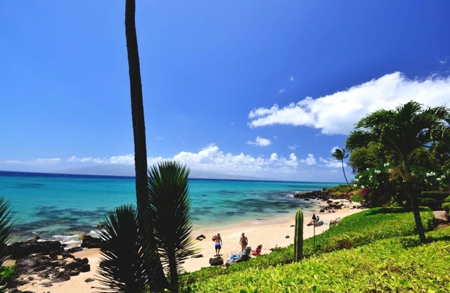 Kuleana 208 - 1Br Condo