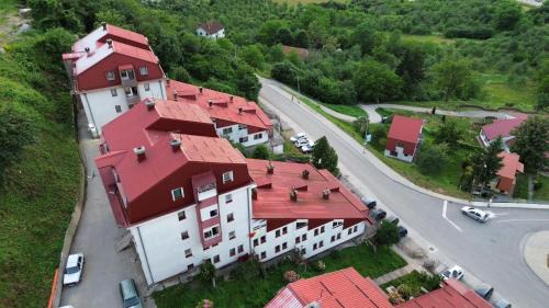 Kulic 2