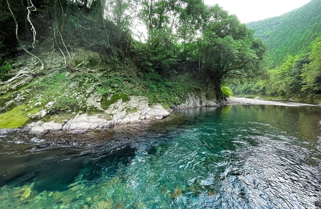 Kumano Shikitei Old private house rental villa / Tanabe Wakayama