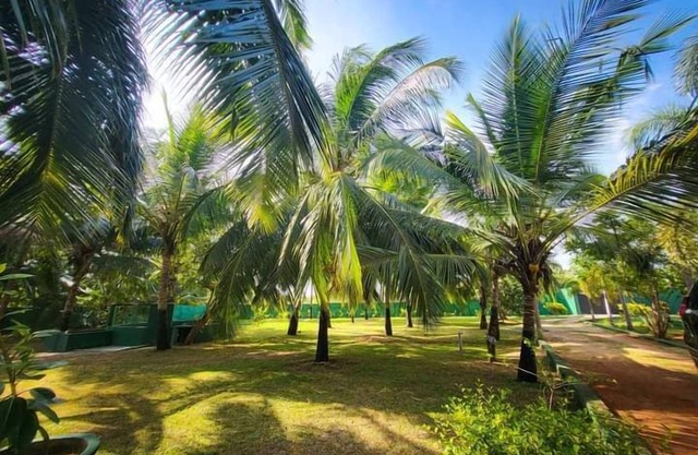 Kumbuk Sewana Villa