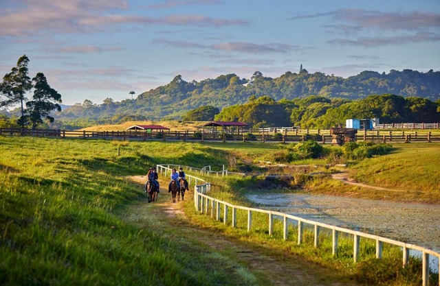 KUR-Cow farm escape 35 minutes from Cairns