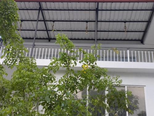 Kuvin Villa