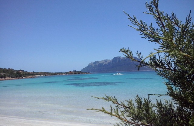 L'Aglientu