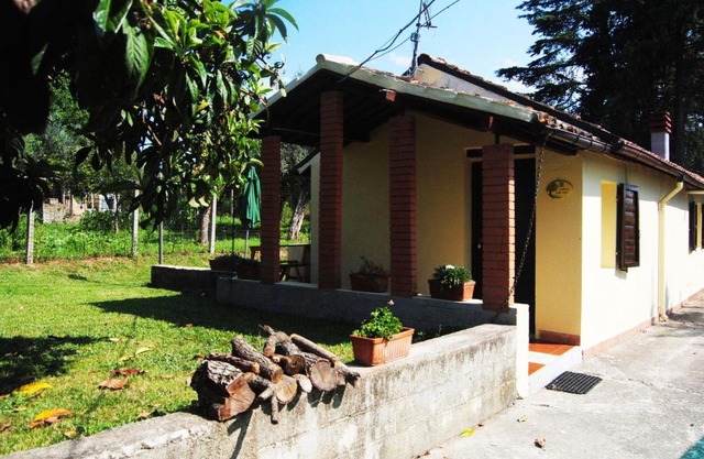 L'albero delle noci