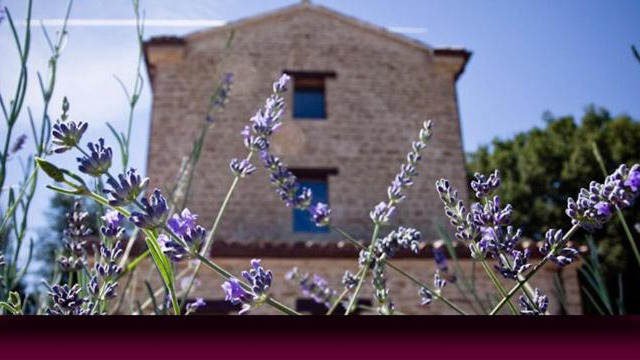 L'Alboreto Salvatico Homestay