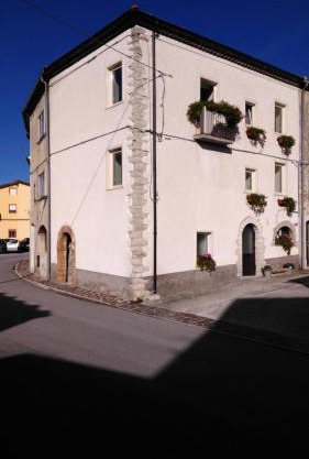 L'angolo fiorito