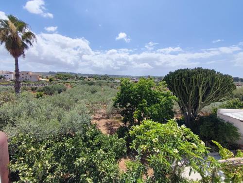 l'Araucaria casa vacanze