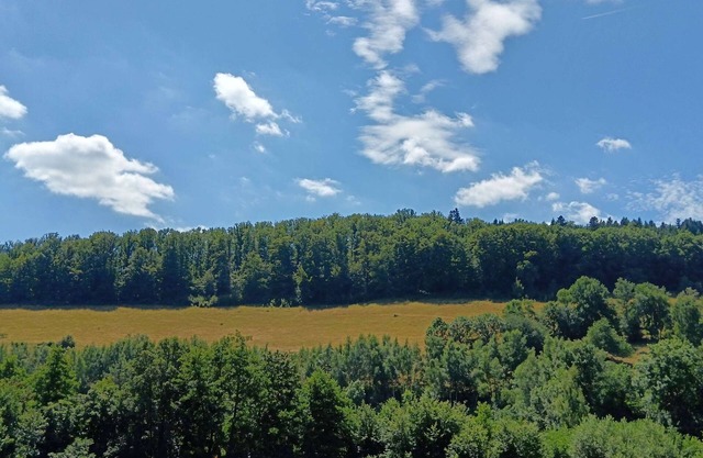 "L'Emeraude", 4 rooms, in the lush greenery of the Vosges mountains