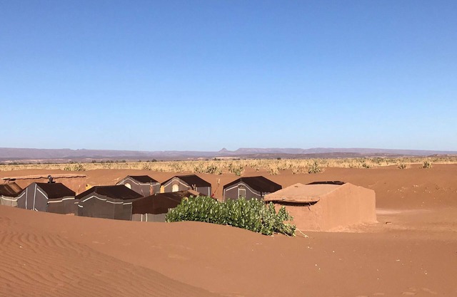 L'Oasis Berbère