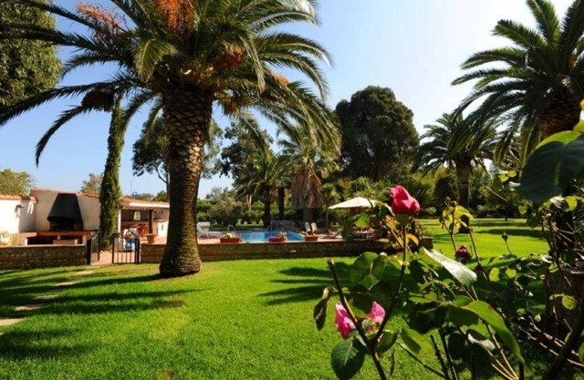 L'Oasis d'Olivier