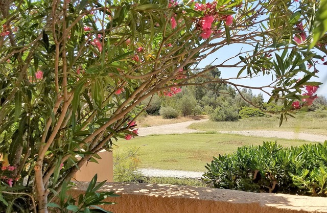 L'oasis de Pédros