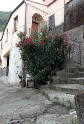 L'Oleandro