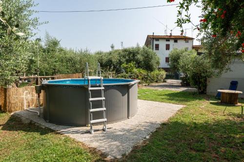 L'olivo