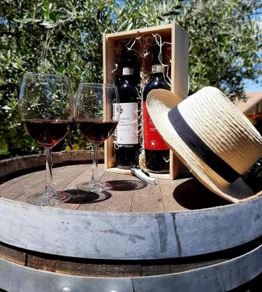 L'Olivo nel Chianti