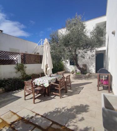 L'OLIVO - San GREGORIO