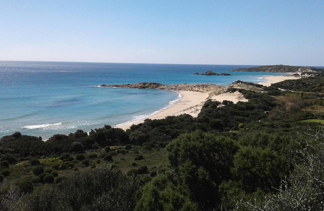 L'Onda Blu