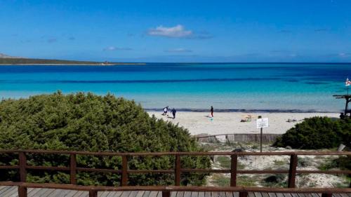 L'onda Blu